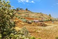 Traditional Basotho huts in Lesotho