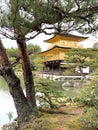 JAPANESE GOLDEN TEMPLE, KINKAKU-JI, CITY OF KYOTO, JAPAN, FEBRUARY, 2020 Royalty Free Stock Photo