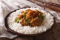 Traditional beef madras with garnish basmati rice close-up. horizontal