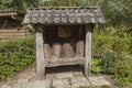 Traditional beehives flipped from straw