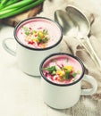 Traditional beetroot cold soup Royalty Free Stock Photo
