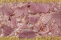 Traditional Belgian brawn, head cheese full frame close up