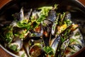 Traditional belgian mussels in cheese sauce, close-up