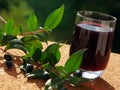 Traditional berry's Liqueur of Sardinia