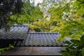 Traditional Black Roof Tiles And Green Forest
