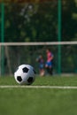 Traditional soccer ball on green grass playground. Royalty Free Stock Photo