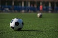 Traditional soccer ball on green grass playground. Royalty Free Stock Photo