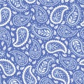 Traditional Blue Paisley vector seamless pattern. Whimsical classic background.Monochrome Shawl print