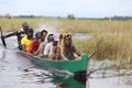 Traditional boats are the main transportation for traditional people in Mappy Regency.