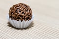 Traditional Brazilian brigadeiro isolated on white background. Royalty Free Stock Photo