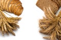 Traditional bread. Fresh loaf of rustic traditional bread with wheat grain ear or spike plant isolated on white background. Rye Royalty Free Stock Photo