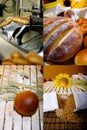 Bread specialty factory. Grid 2x2, screen split in four parts Royalty Free Stock Photo