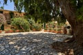 Traditional brick courtyard with two potted plants placed symmetrically on the central pathway