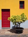 Traditional bright yellow house in tenerife with red door Royalty Free Stock Photo