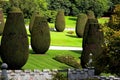 Traditional british garden