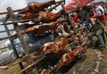 Traditional Bulgarian roasting lamb barbecue