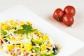 Traditional Bulgarian Shepherd salad with tomatoes, peppers, cucumbers, mushrooms, ham, cheese and eggs in white dish on white woo Royalty Free Stock Photo