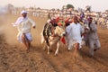 Traditional Bull Race Royalty Free Stock Photo