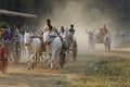 Traditional Bullock Cart Race