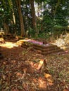 Traditional burials in Java