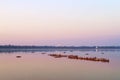 Traditional burmese boats on Taungthaman Lake at sunset, in Amarapura, Mandalay Myanmar