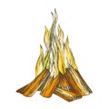 Traditional Burning Bonfire Color Vector