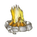 Traditional Burning Campfire Color Vector