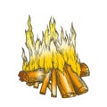 Traditional Burning Firewood Color Vector