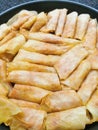 traditional cabagge rolls from the Egypt Royalty Free Stock Photo