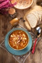 Traditional cabbage soup Royalty Free Stock Photo