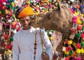 Traditional camel decoration competition at camel mela in Pushkar