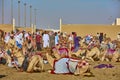 Traditional camel dromadery race Ash-Shahaniyah Qatar Royalty Free Stock Photo