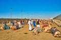 Traditional camel dromadery race Ash-Shahaniyah Qatar