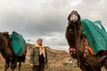 Traditional Camel wrestling Festival in Selcuk, IzmÃÂ¯ÃÂ¿ÃÂ½r, Turkey