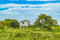 Traditional Cane House at Meadow, Guayas, Ecuador