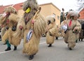 Traditional carnival with traditional figures, known as kurent,