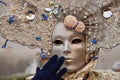 Traditional carnival venetian mask Royalty Free Stock Photo