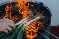 Traditional catalan calcots onion or cambray