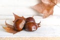 Traditional Catalan Halloween party castanyada. Three chestnuts on a leaf and white wooden table. Empty copy space Royalty Free Stock Photo