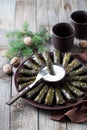 Traditional Caucasian dishes (Dolma), stuffed grape leaves with meat
