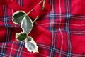 Traditional checkered christmas fabric