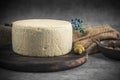 Traditional cheese with blue mold. Royalty Free Stock Photo