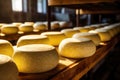 Traditional cheese manufacturing process on the farm