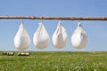 Traditional cheese production Royalty Free Stock Photo