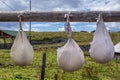 Traditional cheese production in Romania