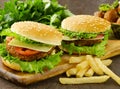 cheeseburger with salad and french fries Royalty Free Stock Photo