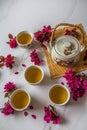 Traditional cherry blossom decorated Japanese tea set filled with green tea and fresh red cheery blossom