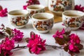 Traditional cherry blossom decorated Japanese tea set filled with green tea and fresh red cheery blossom