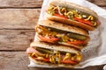 Traditional Chicago style hot dog with mustard, vegetables and s Royalty Free Stock Photo