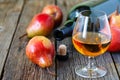 Traditional Chilean pear brandy Royalty Free Stock Photo